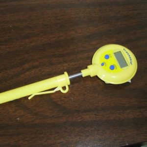 Thermometer, lollipop, Fisher Scientific 14-648-44