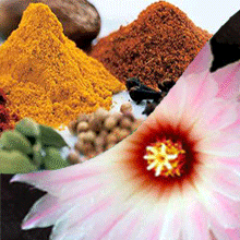 IsoChem NIR Analyzers for Flavor and Fragrance, LT