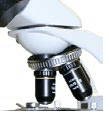 Microscope, compound, Trinocular, SES brand 50, NEW
